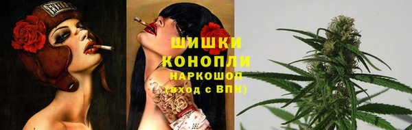 спиды Медвежьегорск