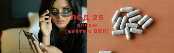 спиды Медвежьегорск