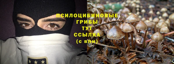 спиды Медвежьегорск