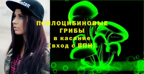 спиды Медвежьегорск