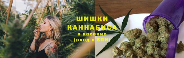 спиды Медвежьегорск