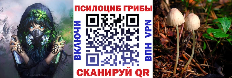мега ONION  закладки  Чебаркуль  Галлюциногенные грибы мицелий 
